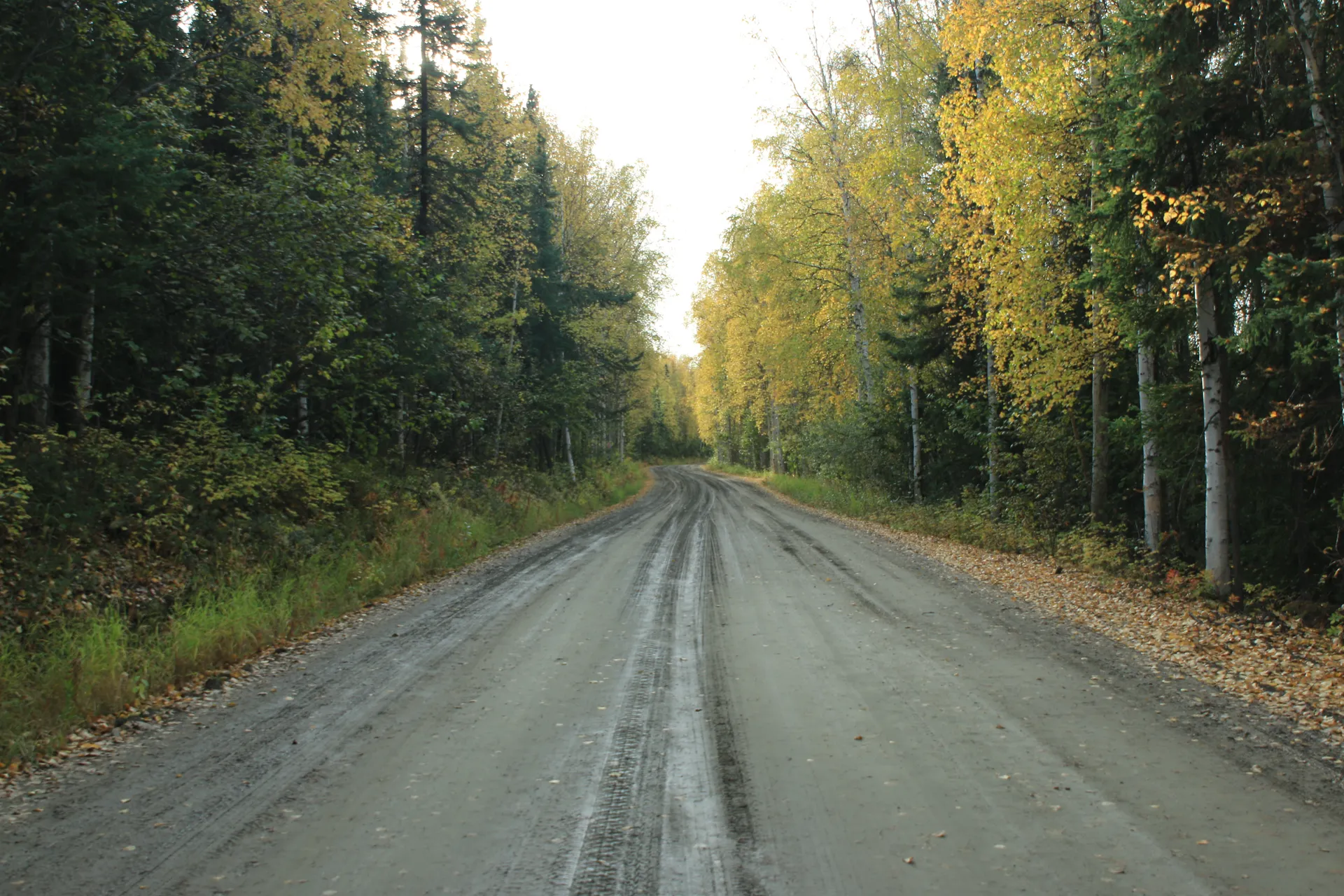 Henderson Road in winter